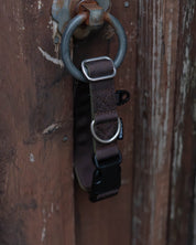 Hiraeth Land Buckle Dog Collar