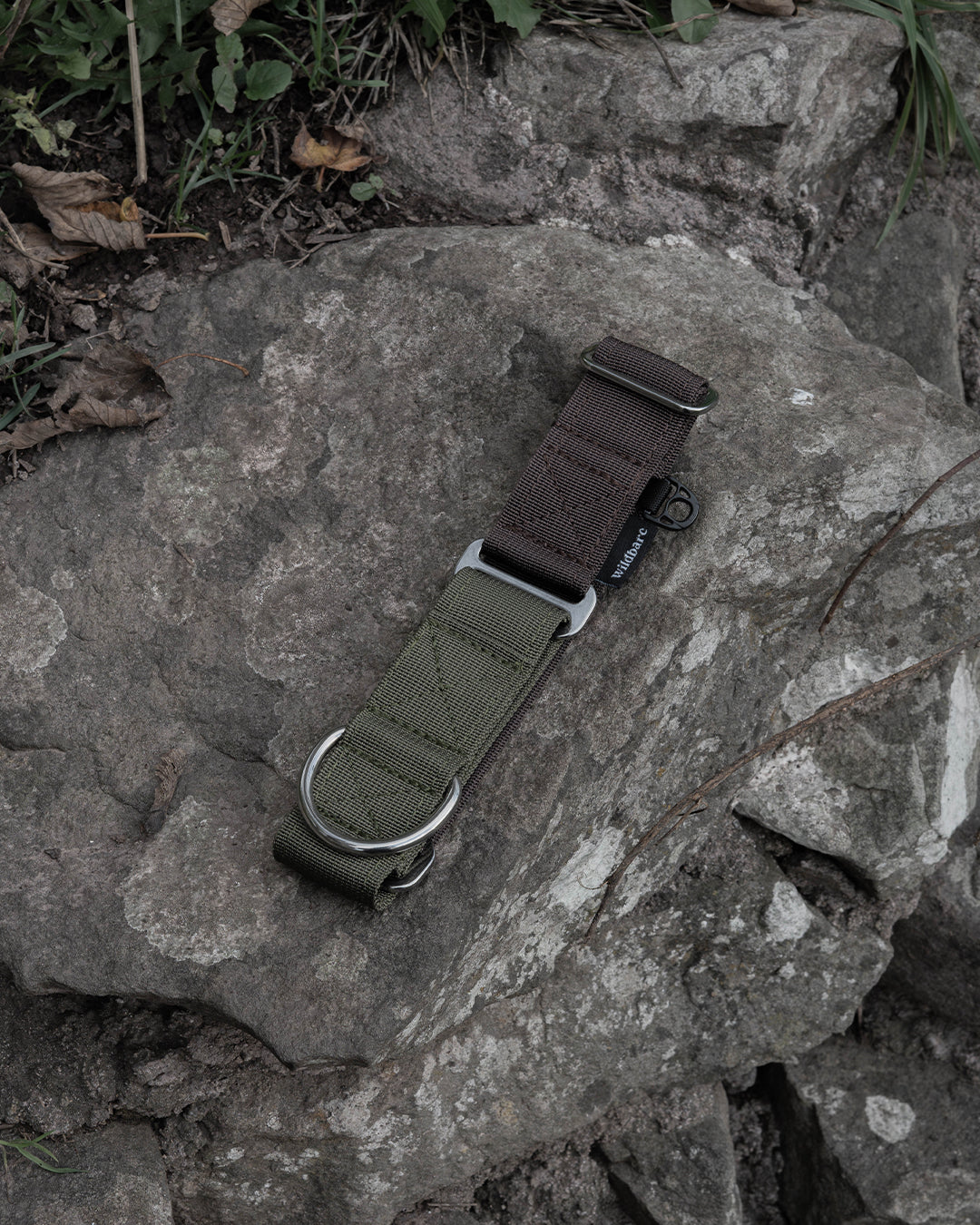 Hiraeth Earth Martingale Dog Collar