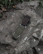 Hiraeth Earth Martingale Dog Collar