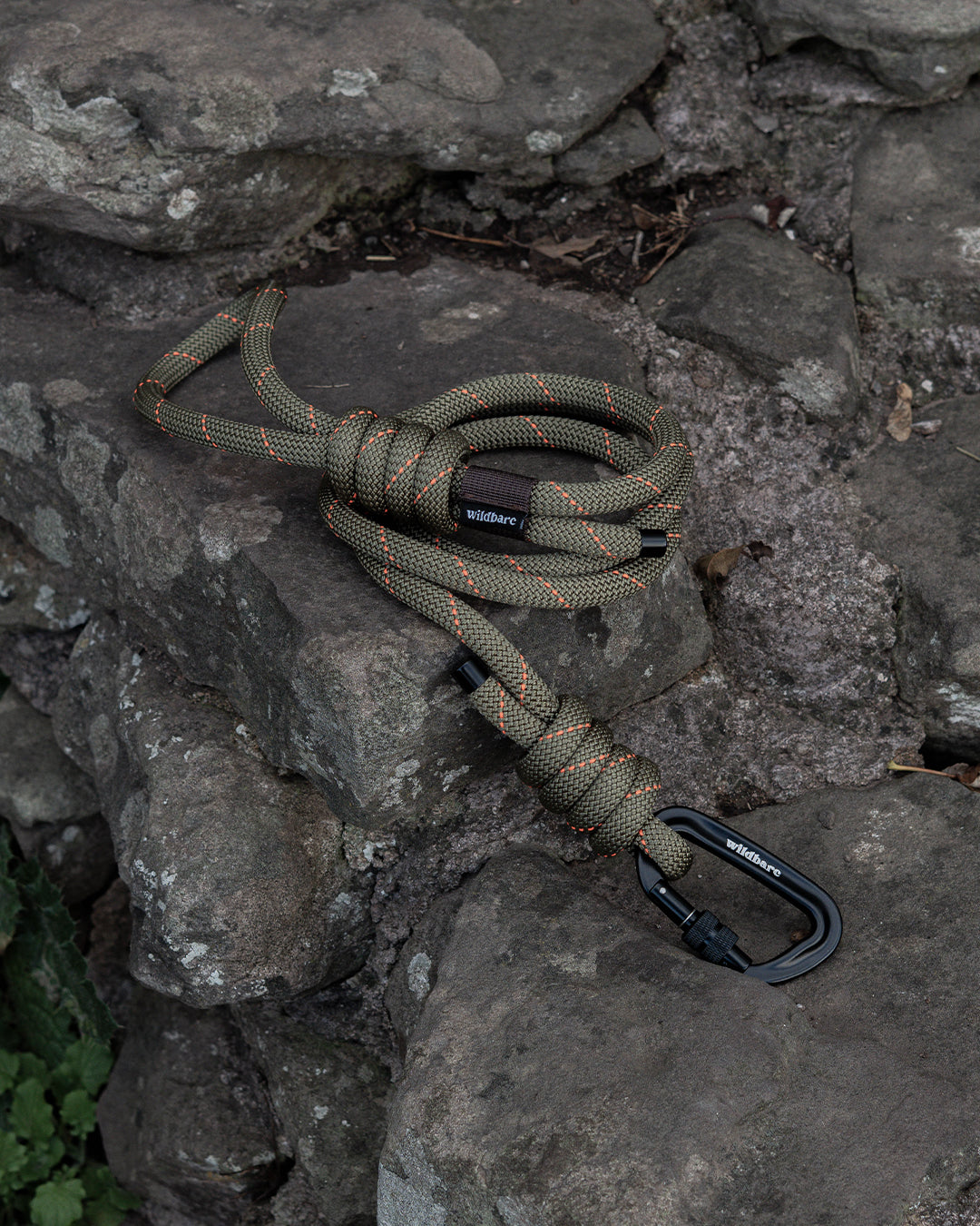 Hiraeth Climbing Rope Dog Lead