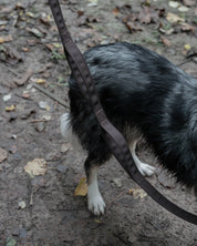 Hiraeth Waterproof Dog Flat Lead with Traffic Handles