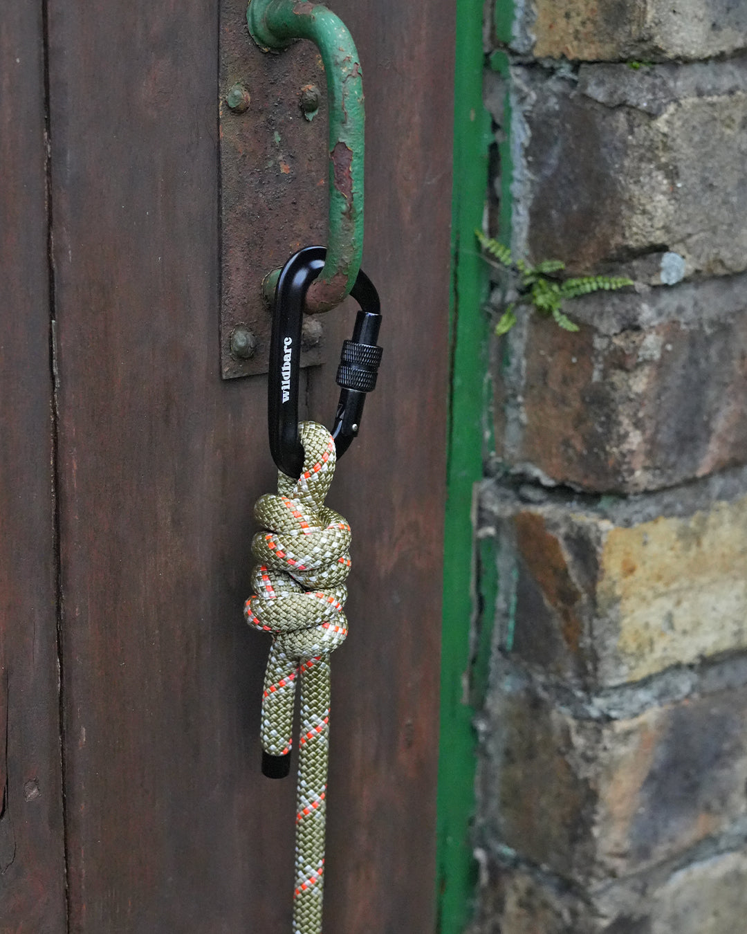 Suilven Climbing Rope Dog Lead