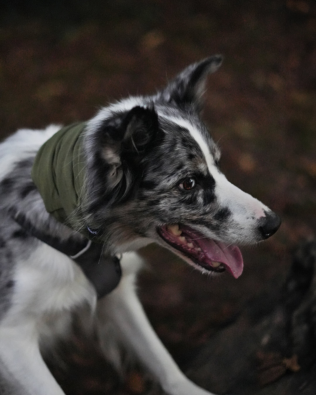 Khaki Neck Snood