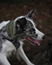 Khaki Neck Snood