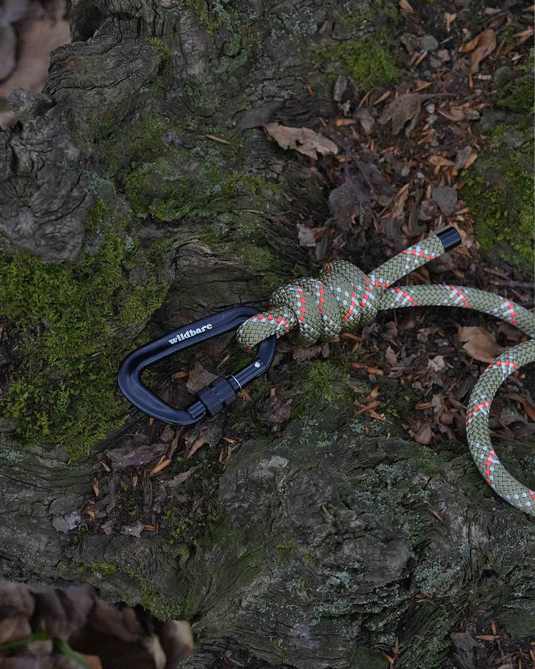 Suilven Climbing Rope Dog Lead