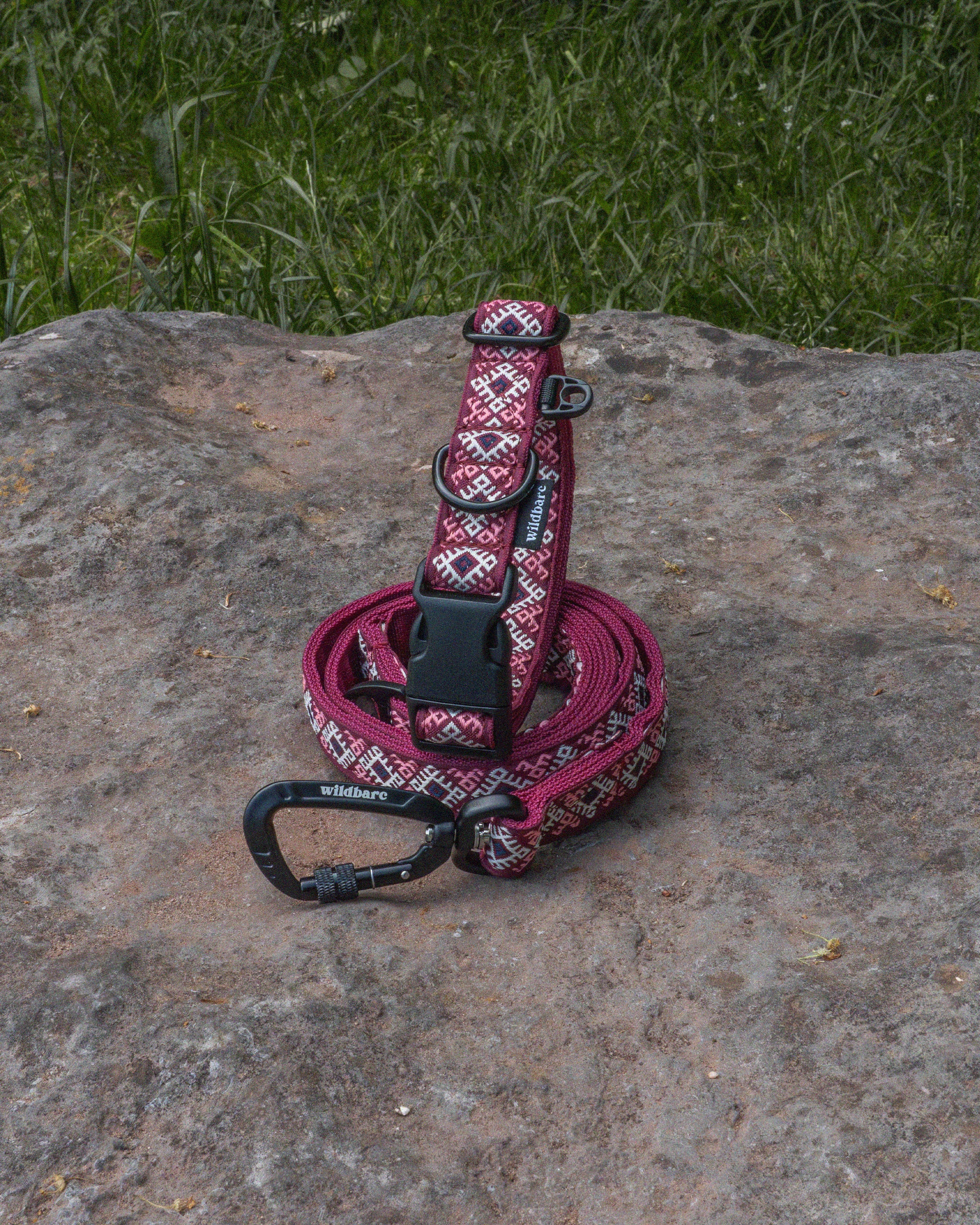 Kinder Scout Dog Buckle Collar