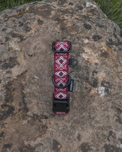 Kinder Scout Dog Buckle Collar