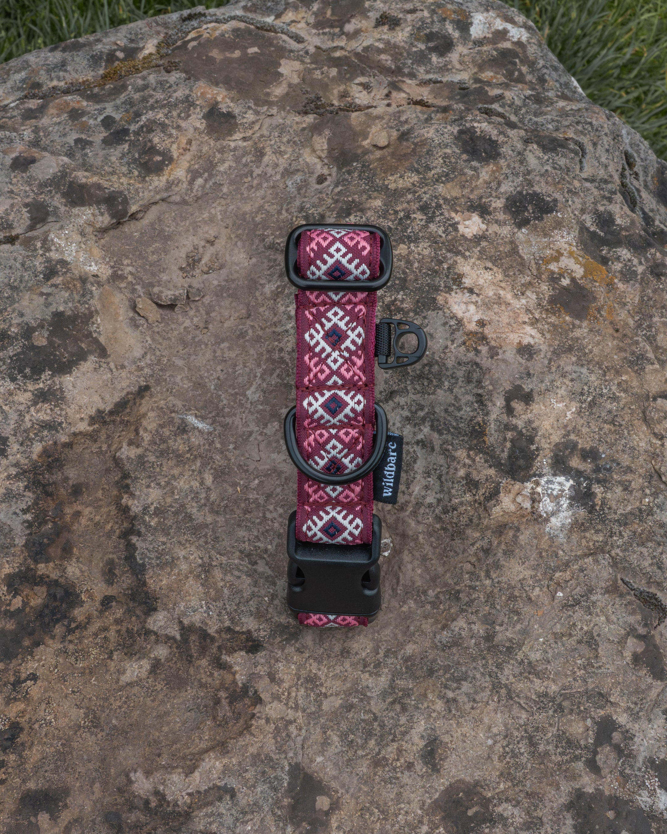 Kinder Scout Dog Buckle Collar