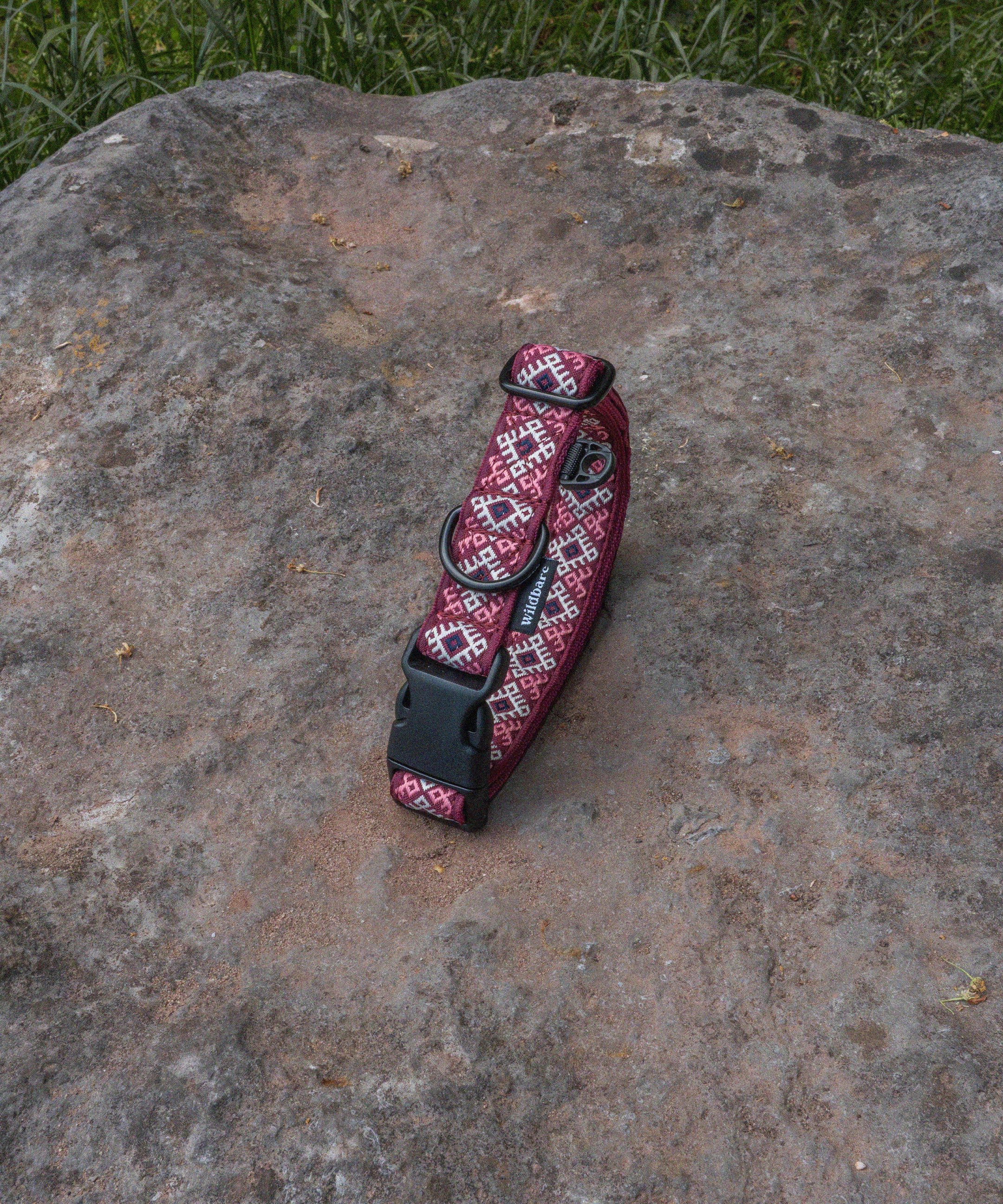 kinder-scout-dog-collar_f9b34a06-b5d5-46ce-8067-7d489891435a.jpg