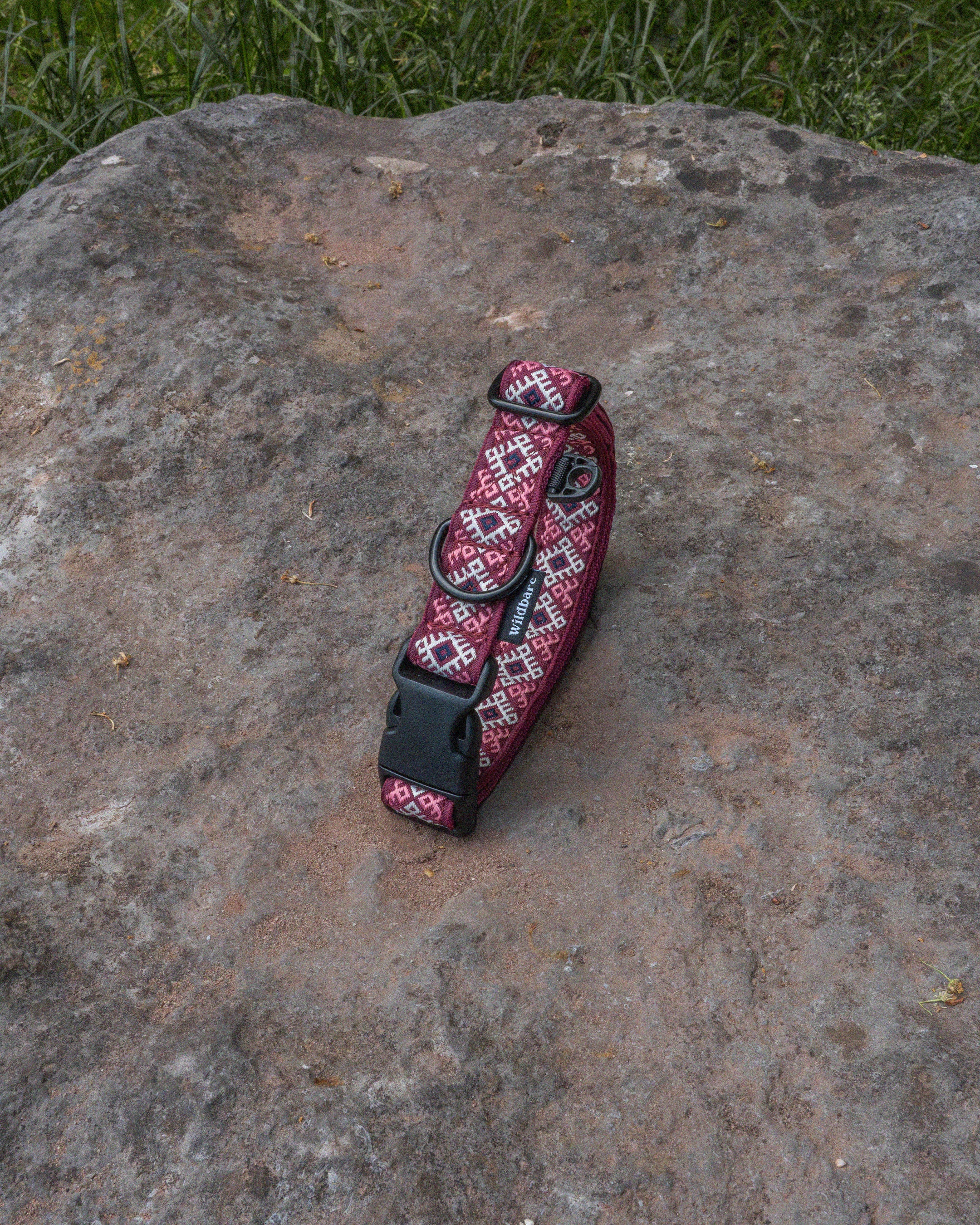 Kinder Scout Dog Buckle Collar