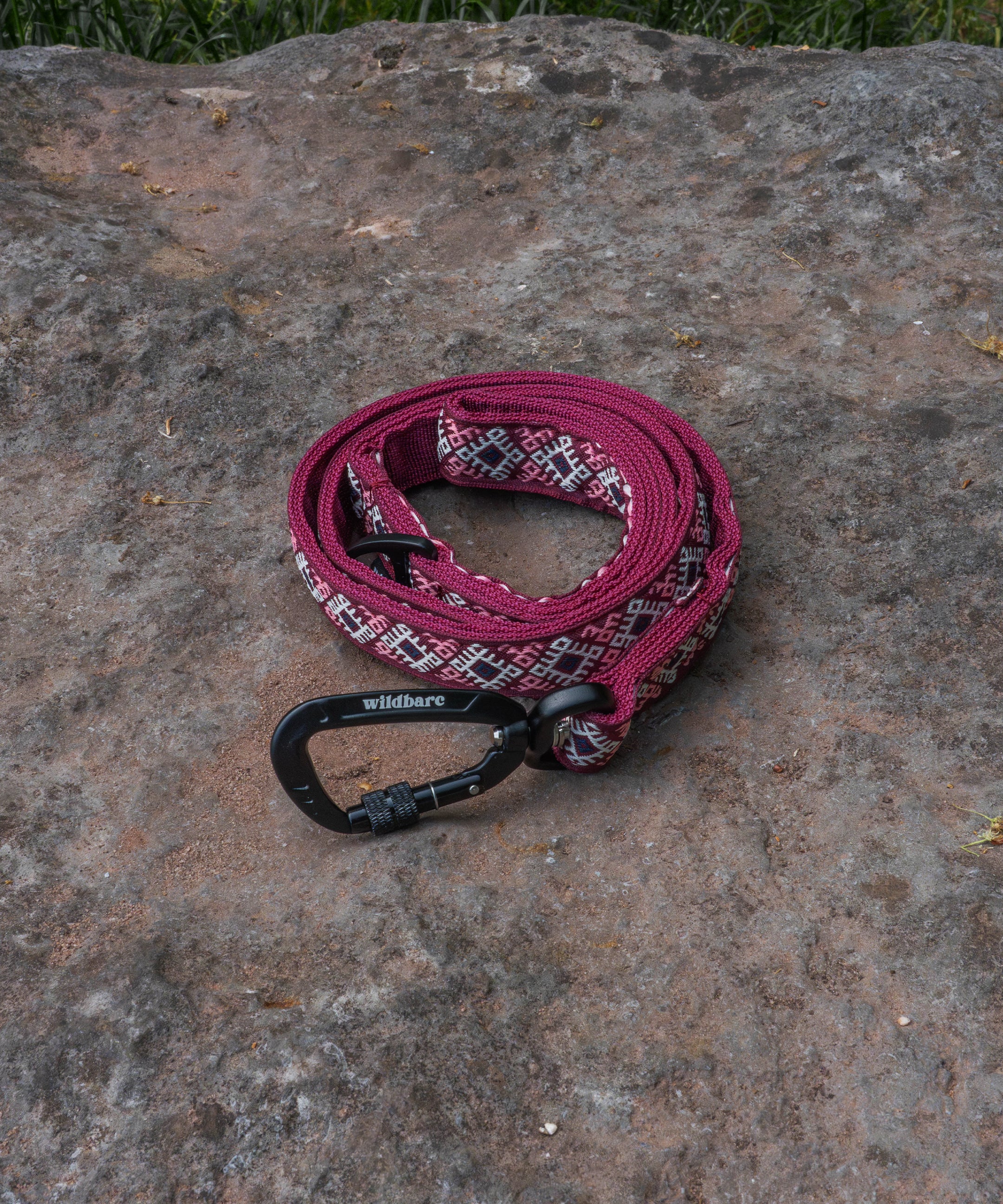 kinder-scout-dog-lead.jpg