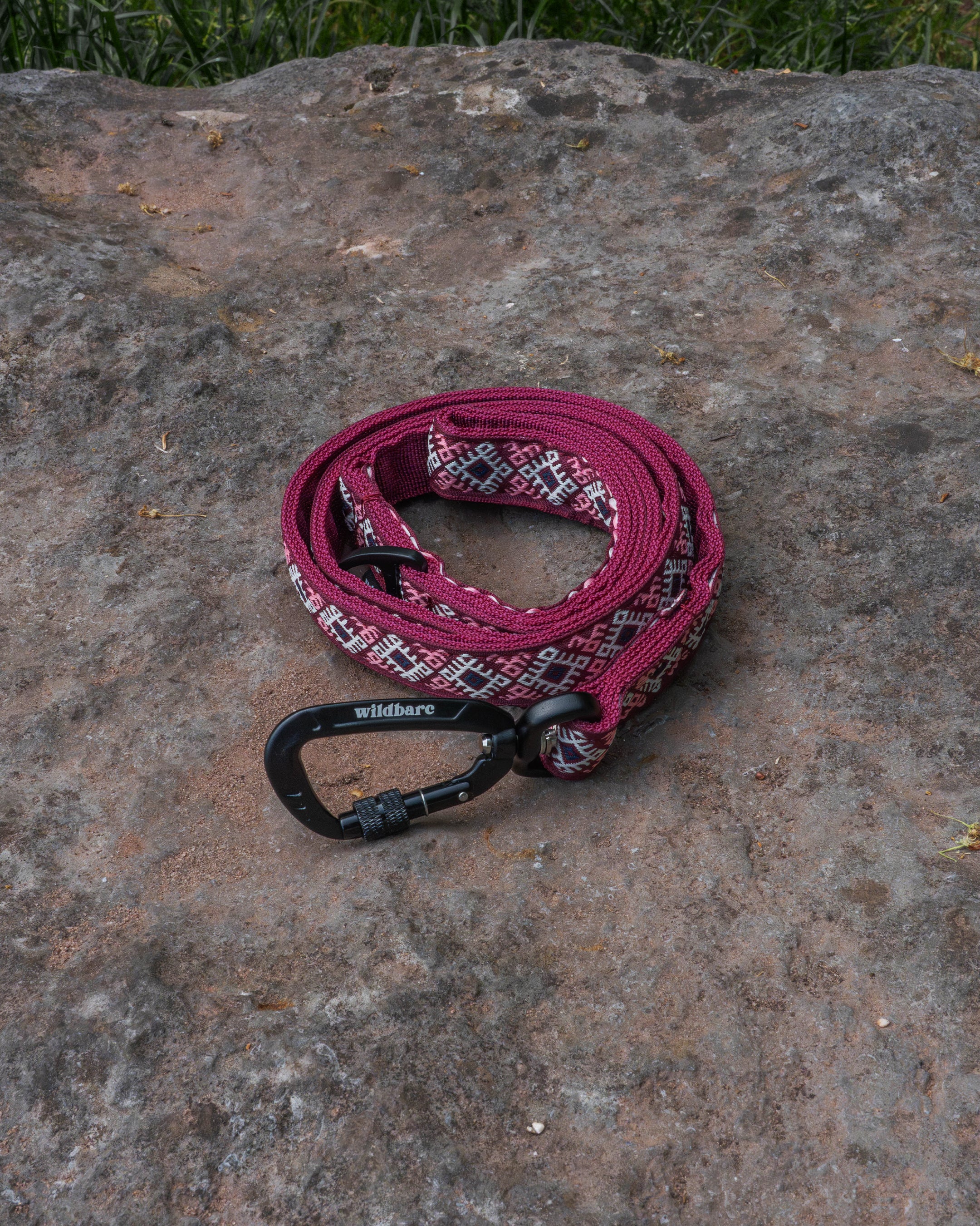 Kinder Scout Dog Lead