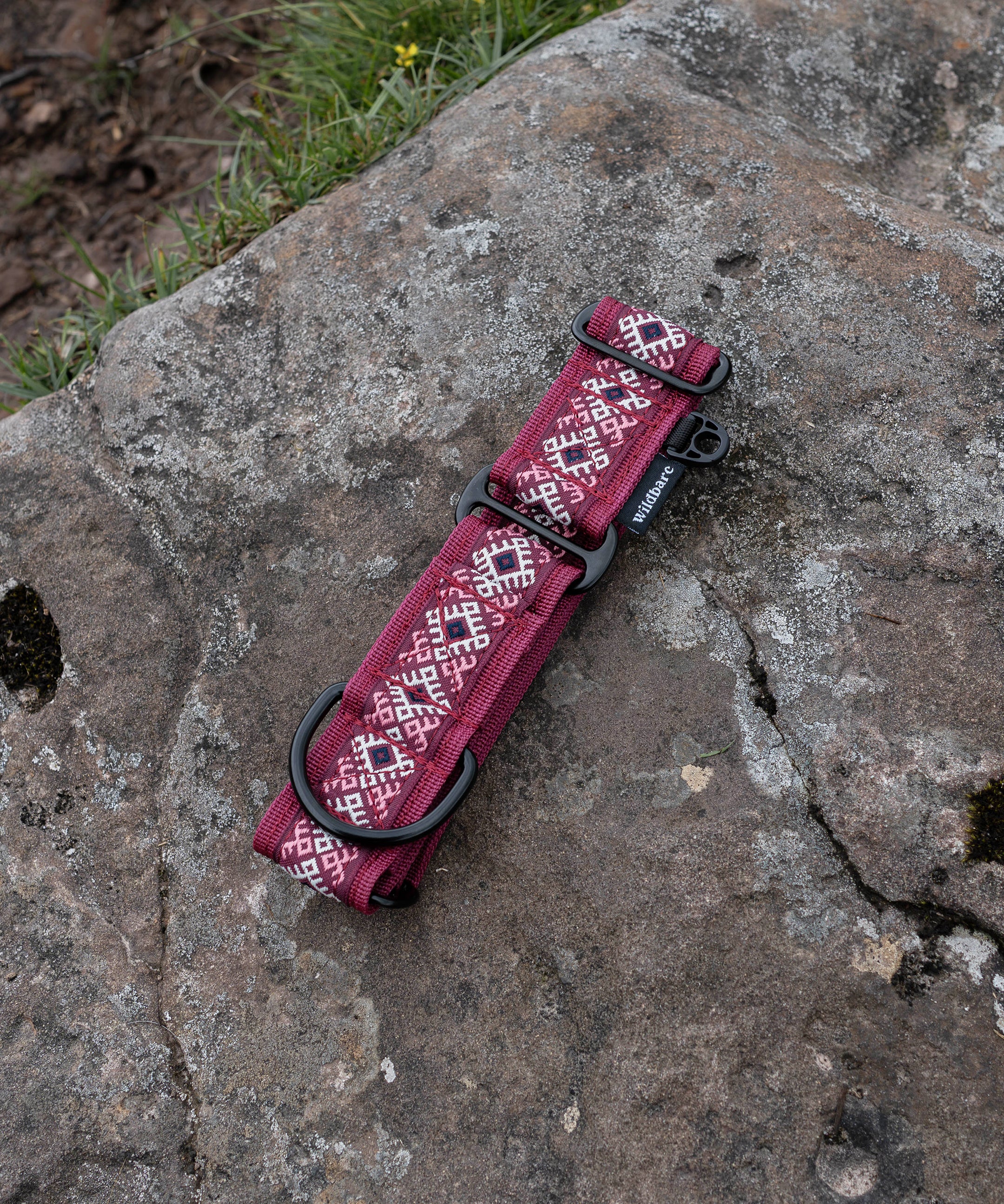 kinder-scout-martingale-dog-collar.jpg