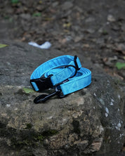 Light Blue Canvas Lead
