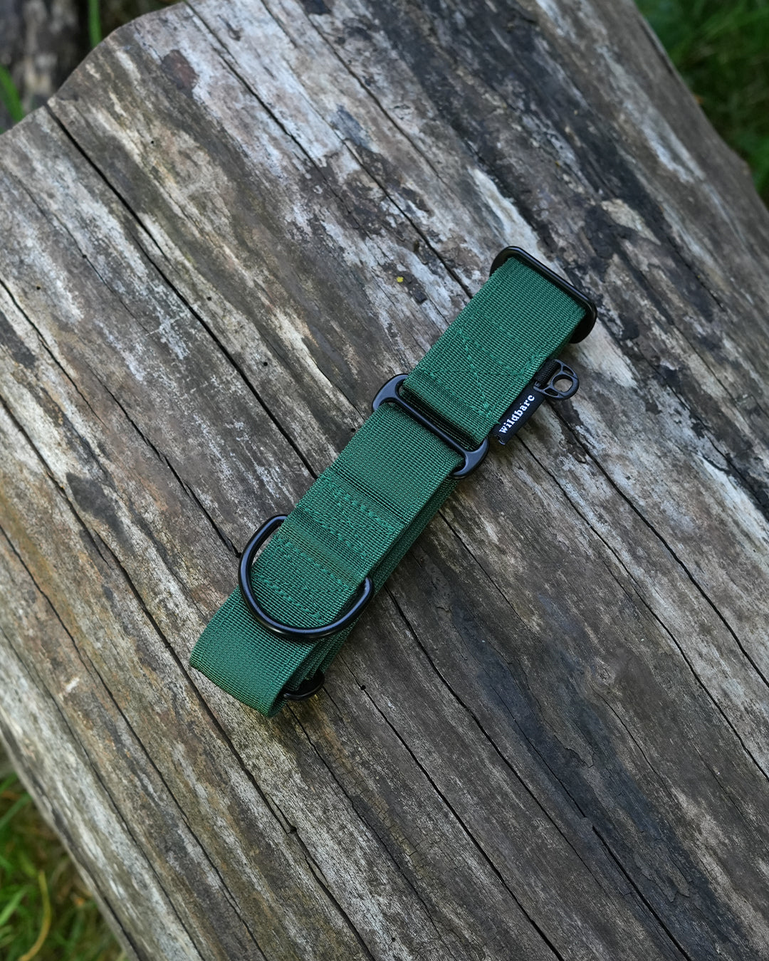 Forest Green Waterproof Martingale Dog Collar