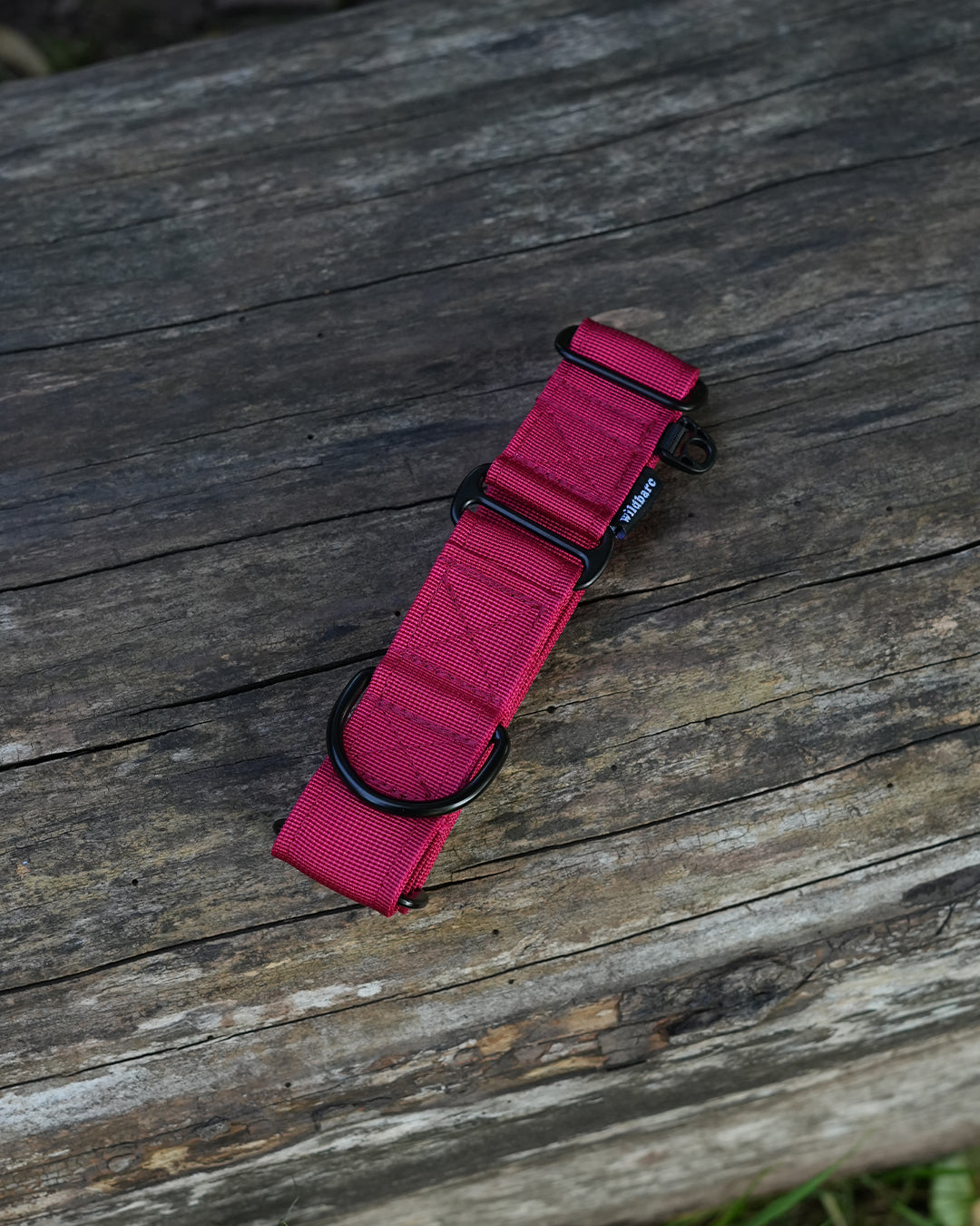 Crimson Red Waterproof Martingale Dog Collar