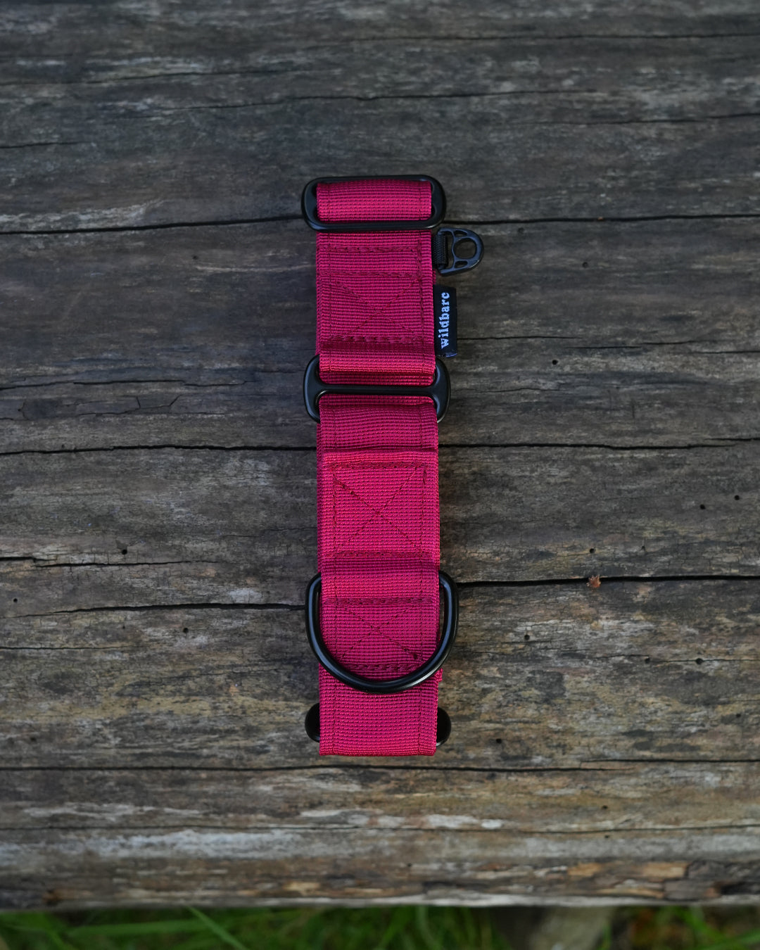 Crimson Red Waterproof Martingale Dog Collar