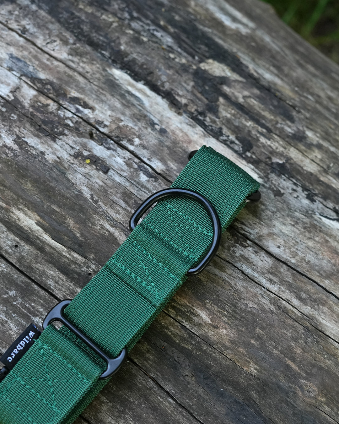 Forest Green Waterproof Martingale Dog Collar