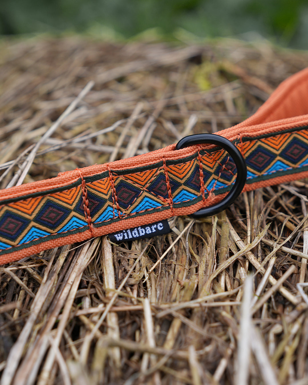 Matterhorn Dog Lead