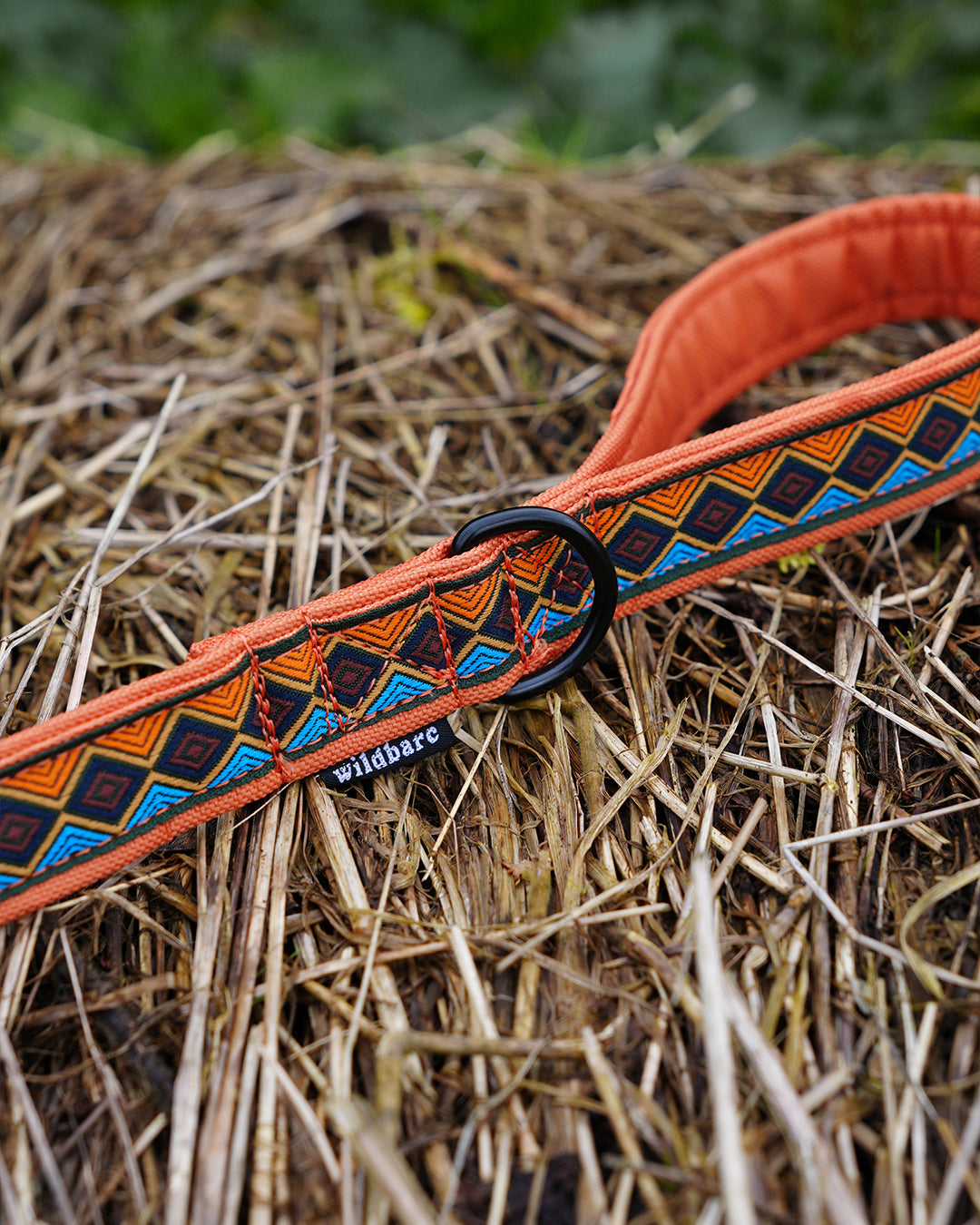 Matterhorn Dog Lead