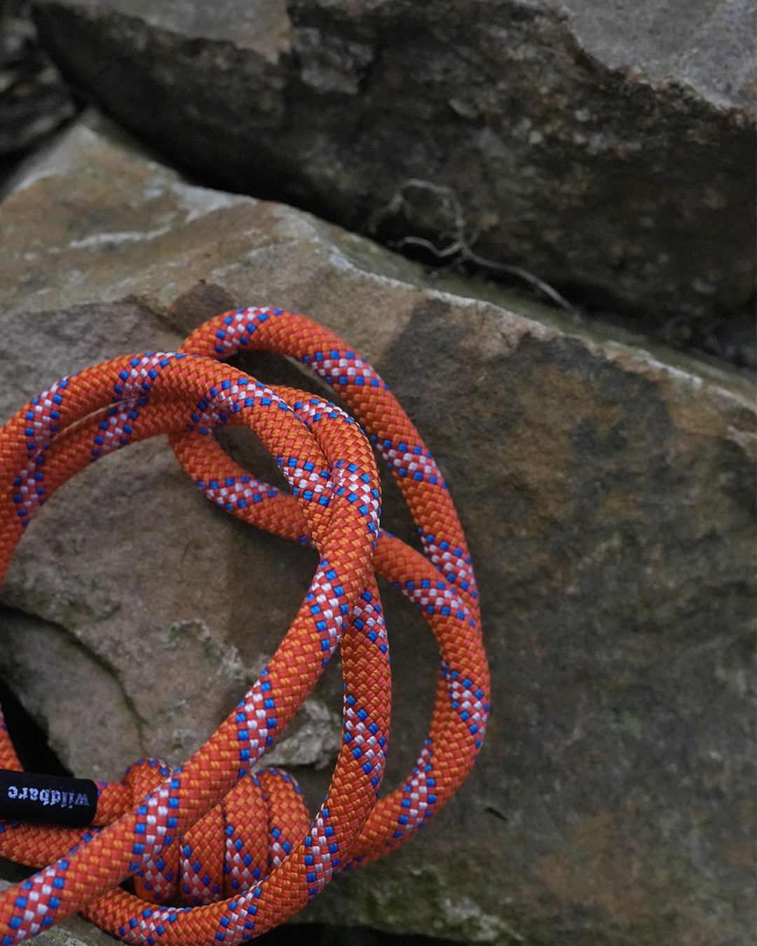 Mostyn Climbing Rope Dog Lead