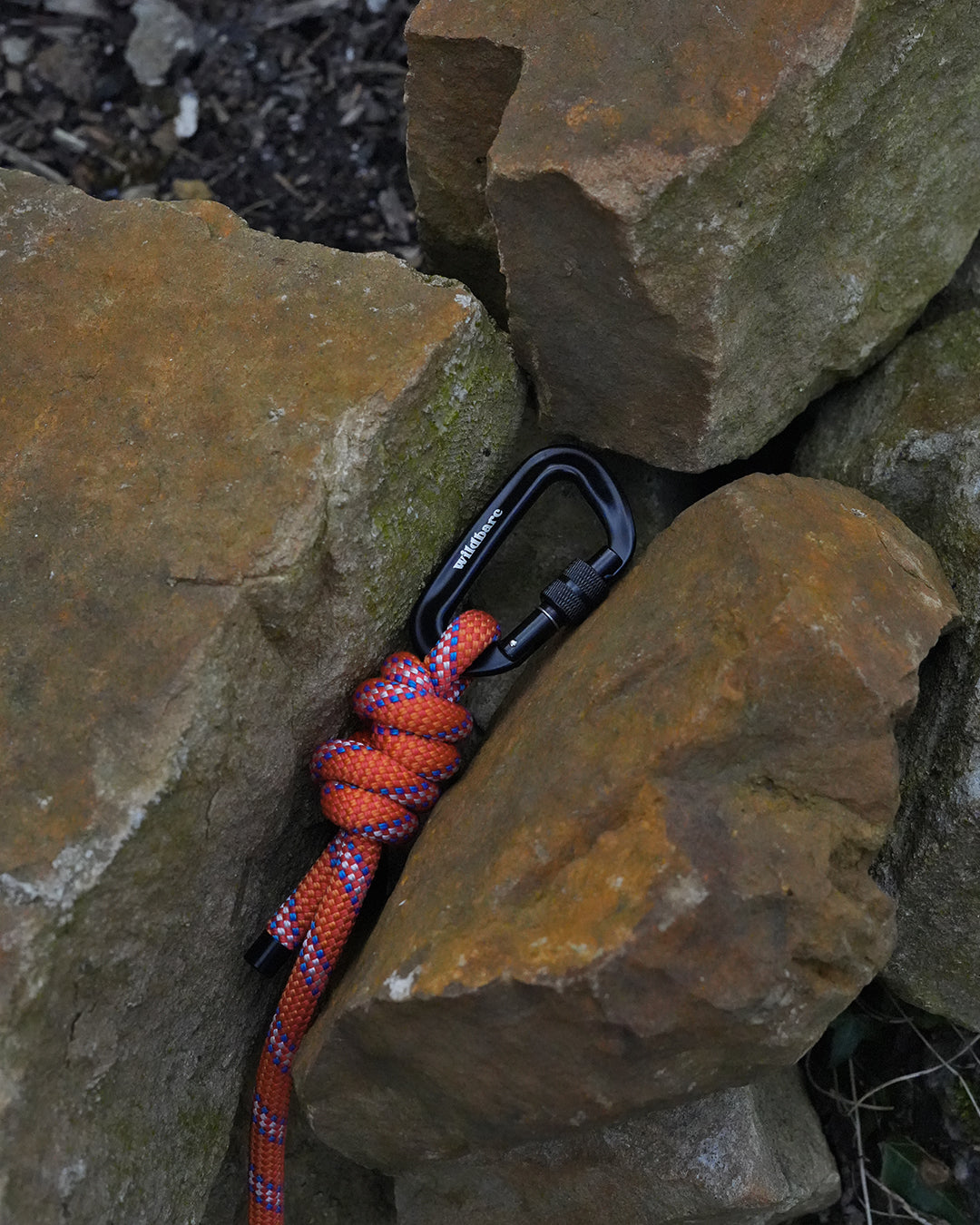 Mostyn Climbing Rope Dog Lead