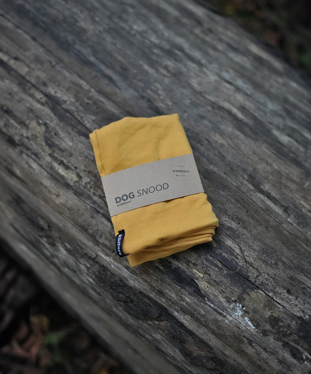 mustard-dog-snood-6.jpg