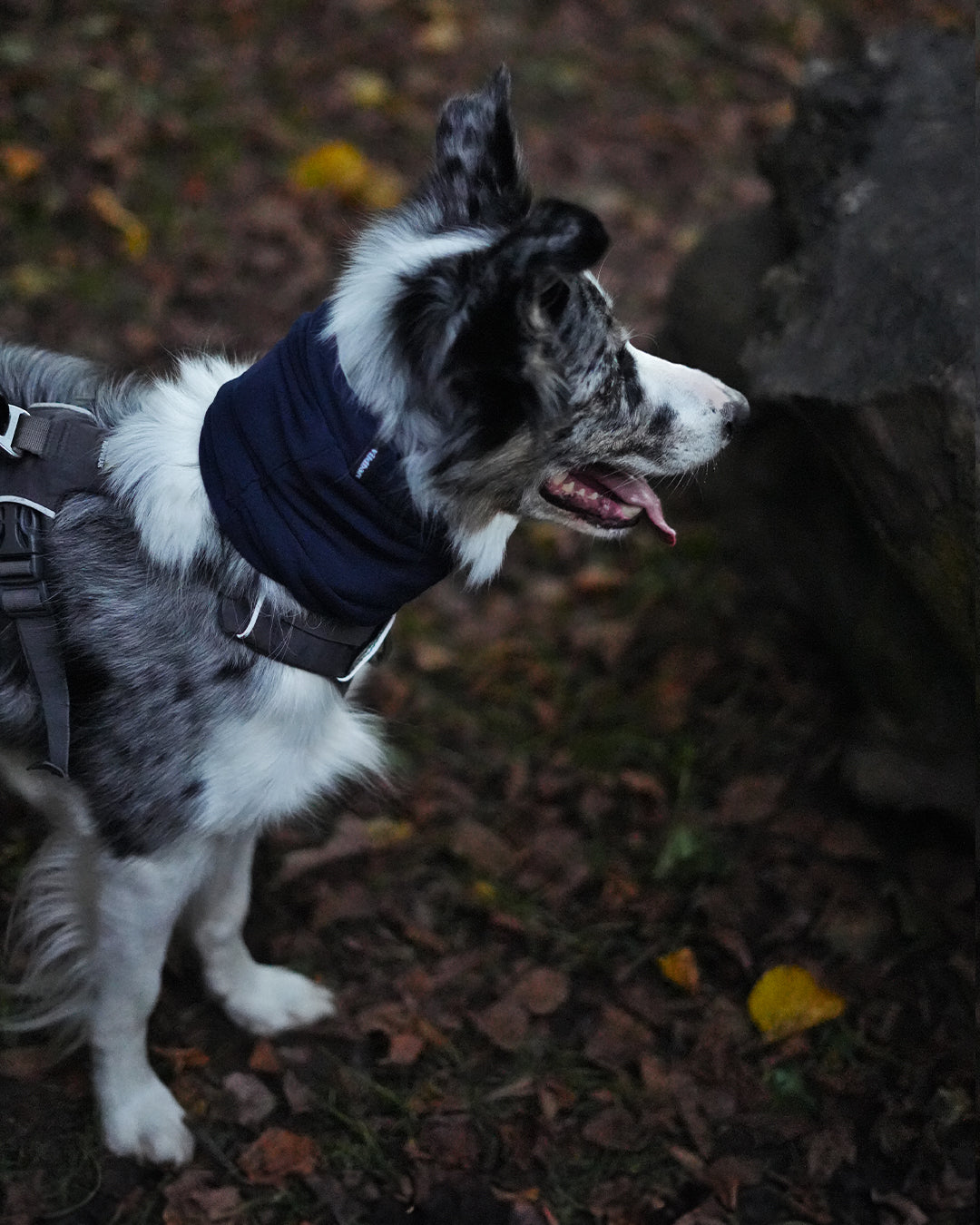 Navy Neck Snood