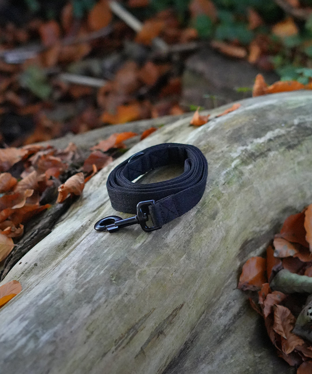 ocean-plastics-black-dog-collar-lead.jpg