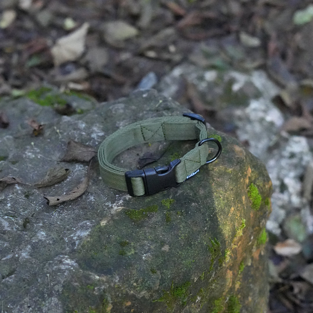 ocean-plastics-khaki-dog-collar-featured.jpg