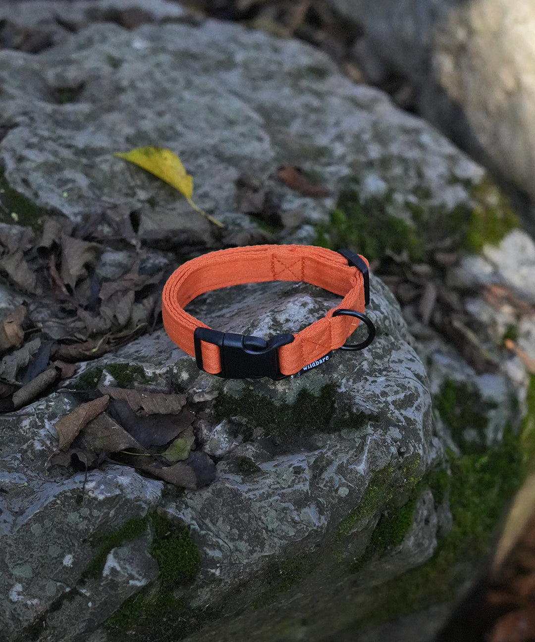 ocean-plastics-orange-dog-collar-featured.jpg