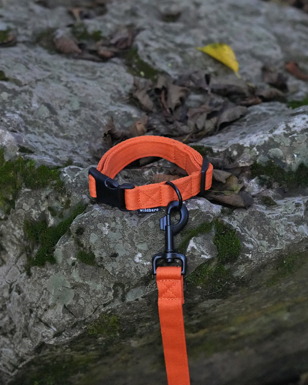 ocean-plastics-orange-dog-collar-lead.jpg