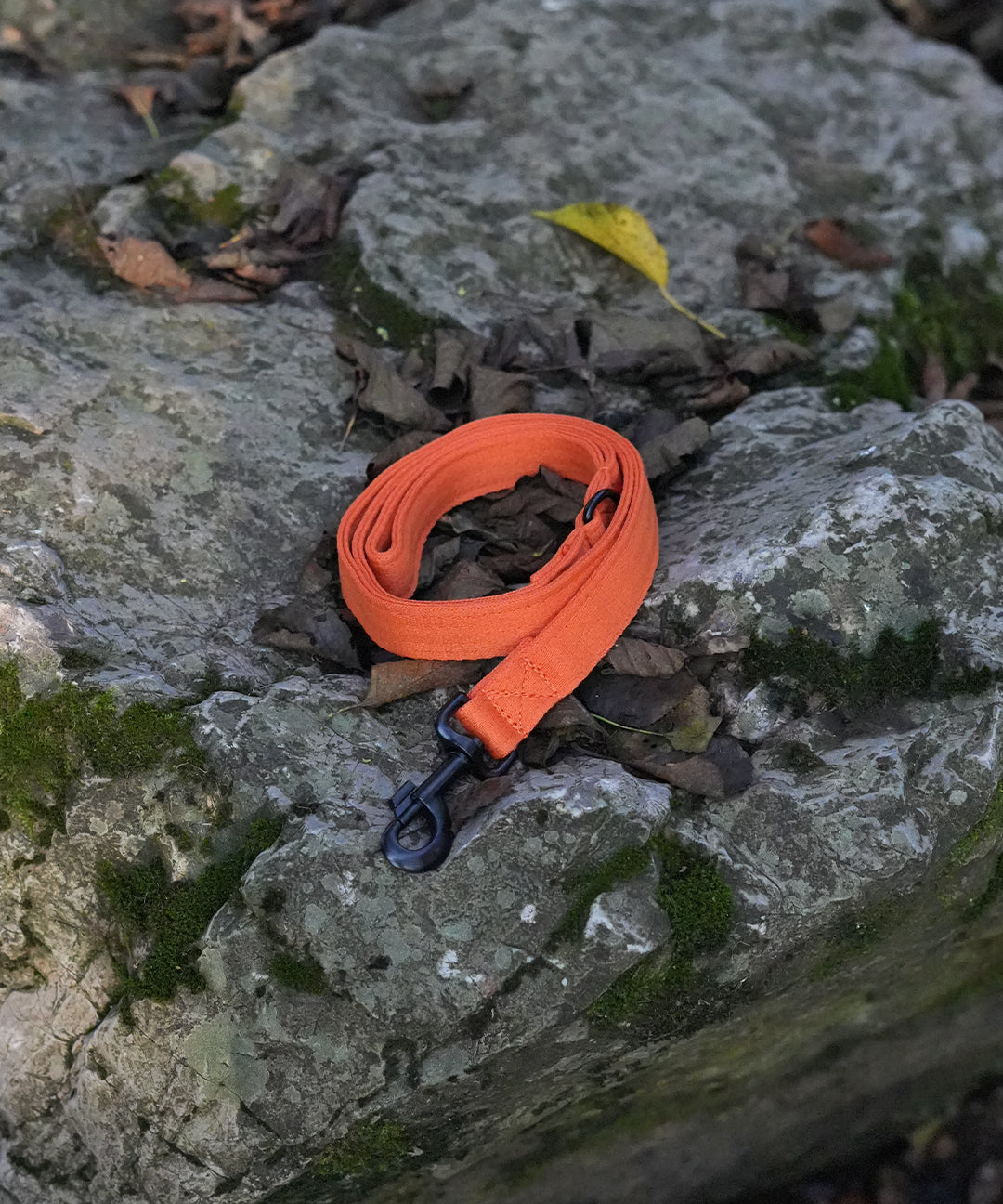 ocean-plastics-orange-dog-lead.jpg