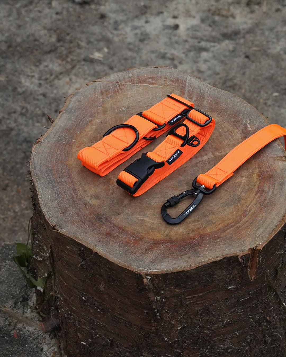 Orange Waterproof Dog Lead