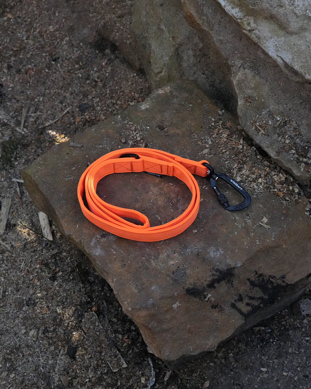 Orange Waterproof Dog Lead