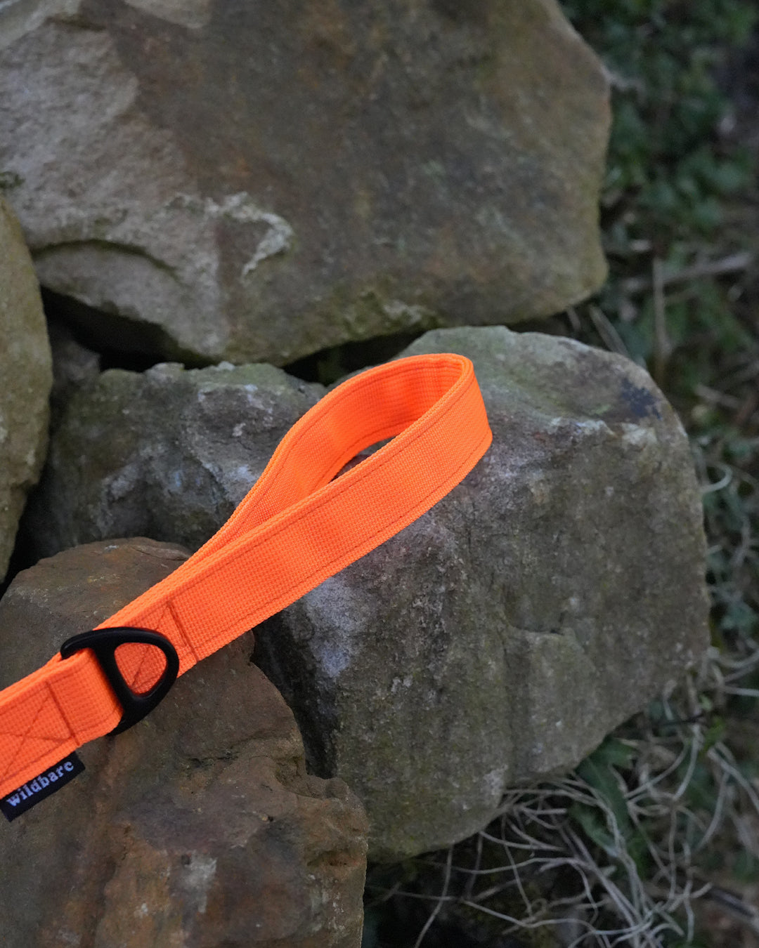 Orange Waterproof Dog Lead