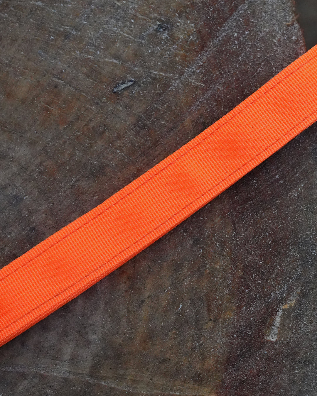 Orange Waterproof Dog Collar