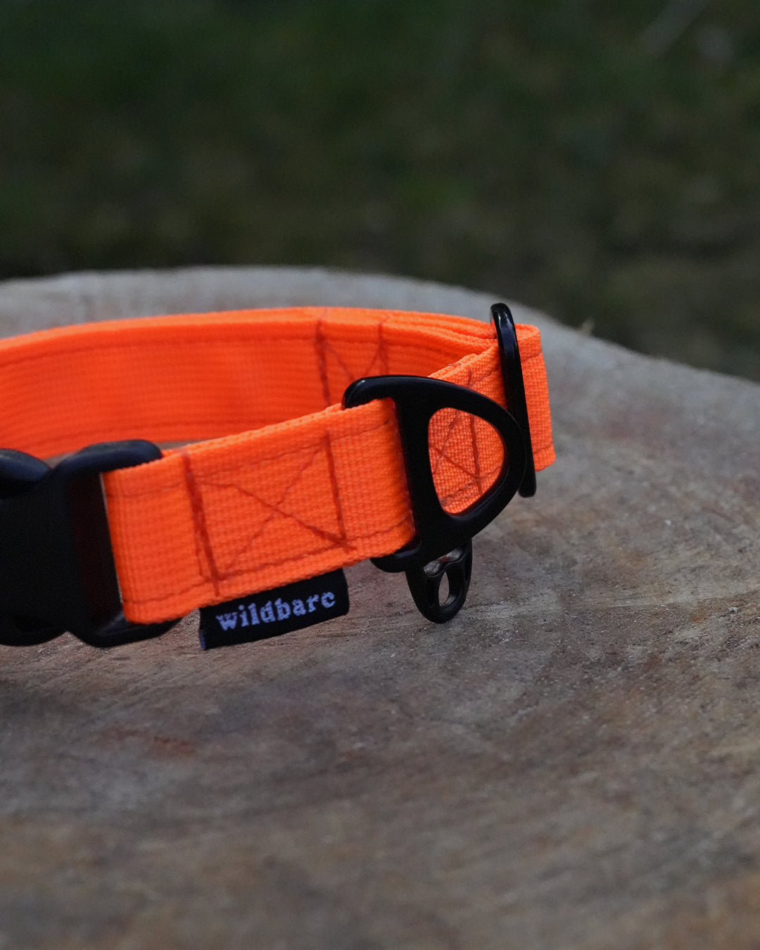 Orange Waterproof Dog Collar