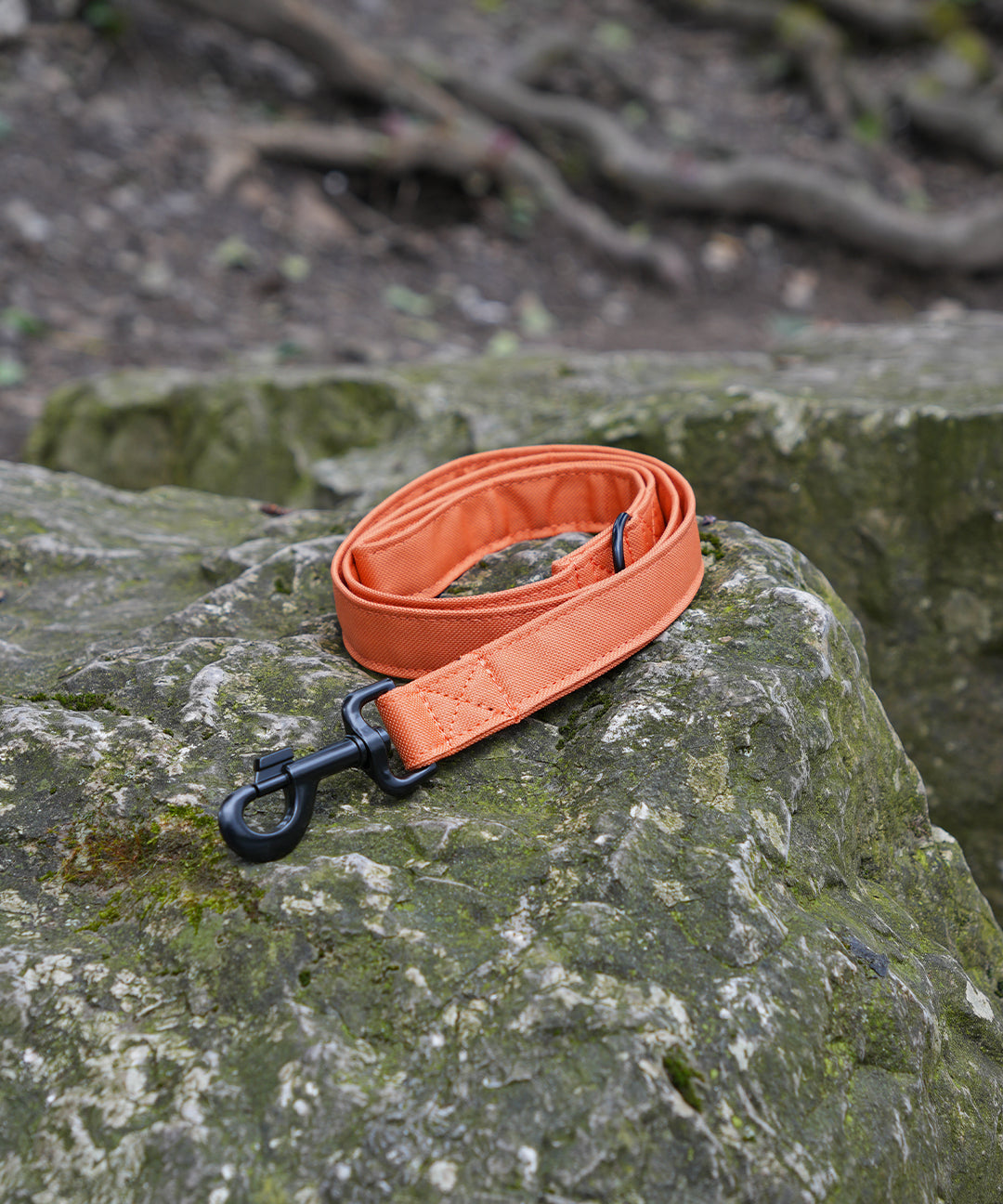 orange-lead-one.jpg