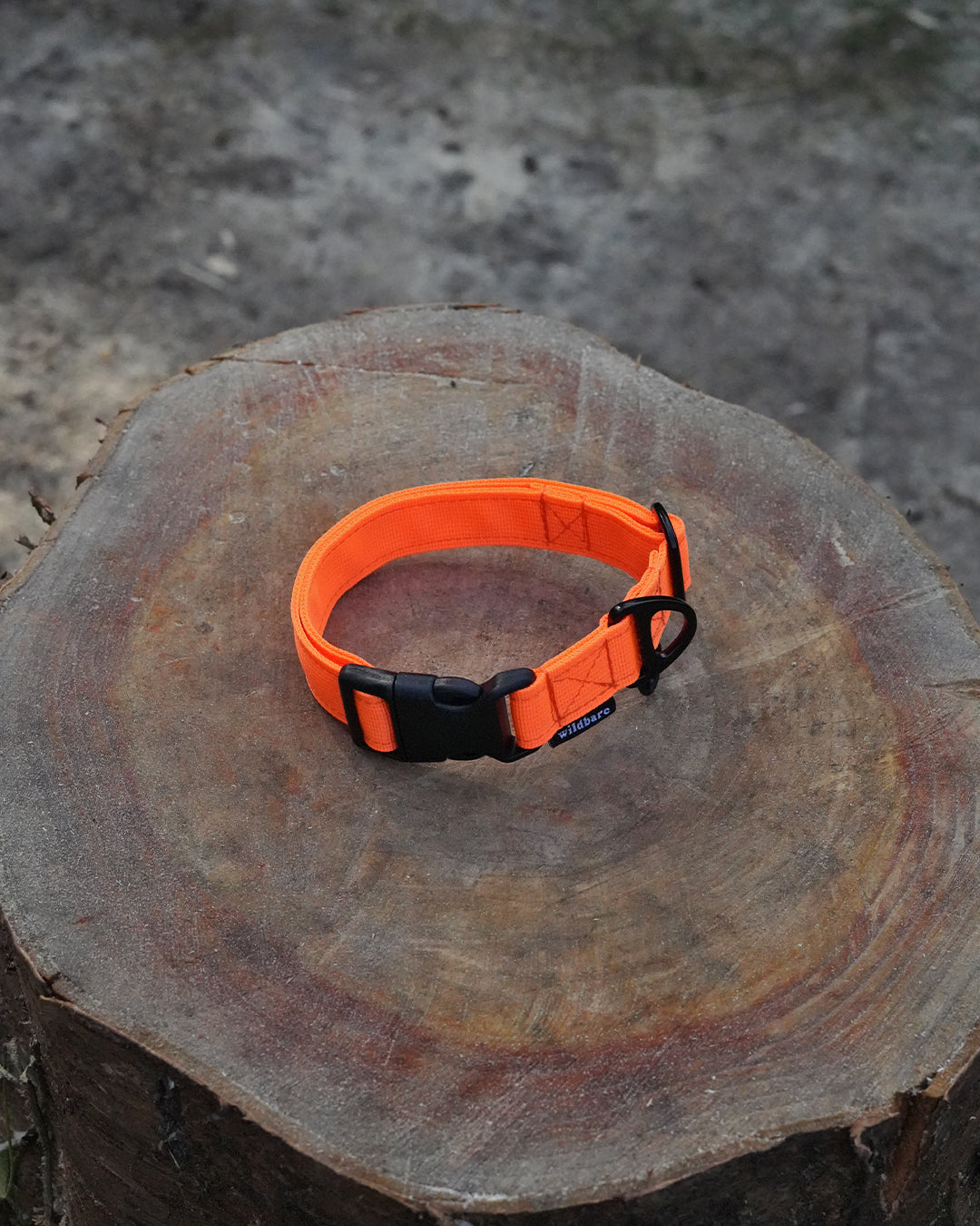Orange Waterproof Dog Collar