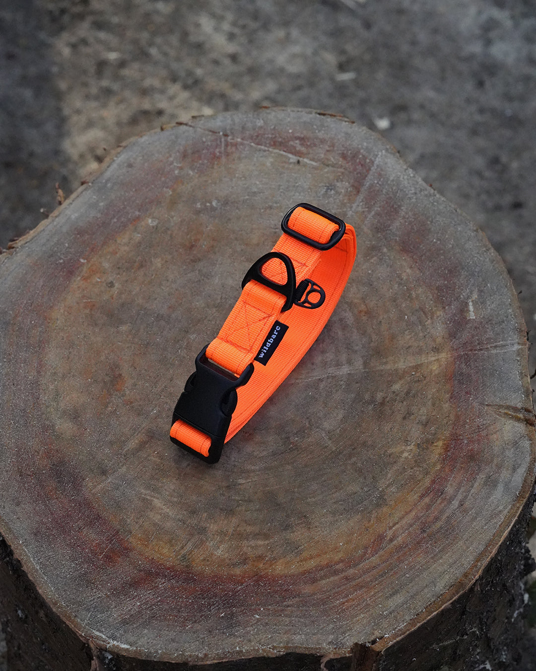 Orange Waterproof Dog Collar