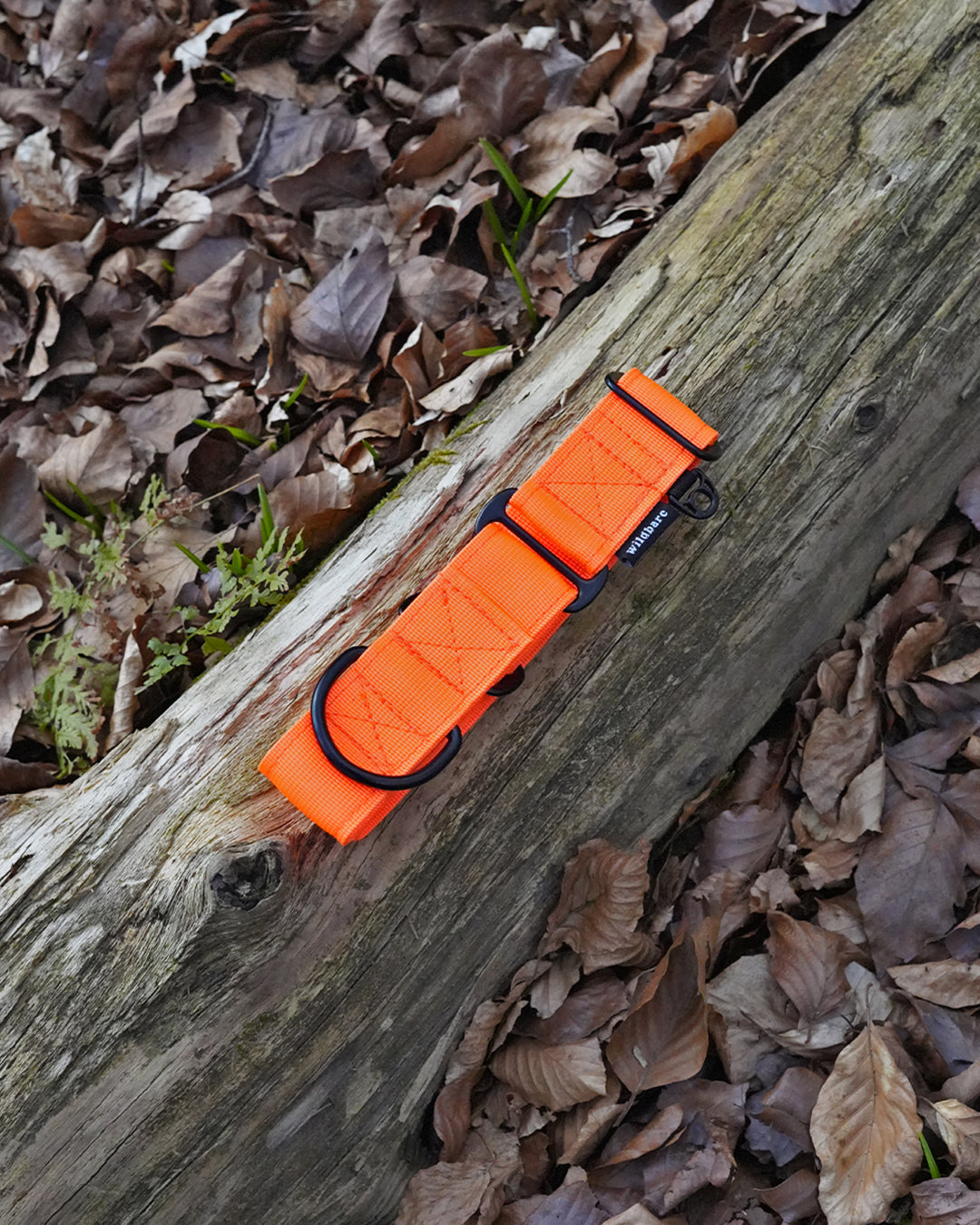 Orange Waterproof Martingale Dog Collar