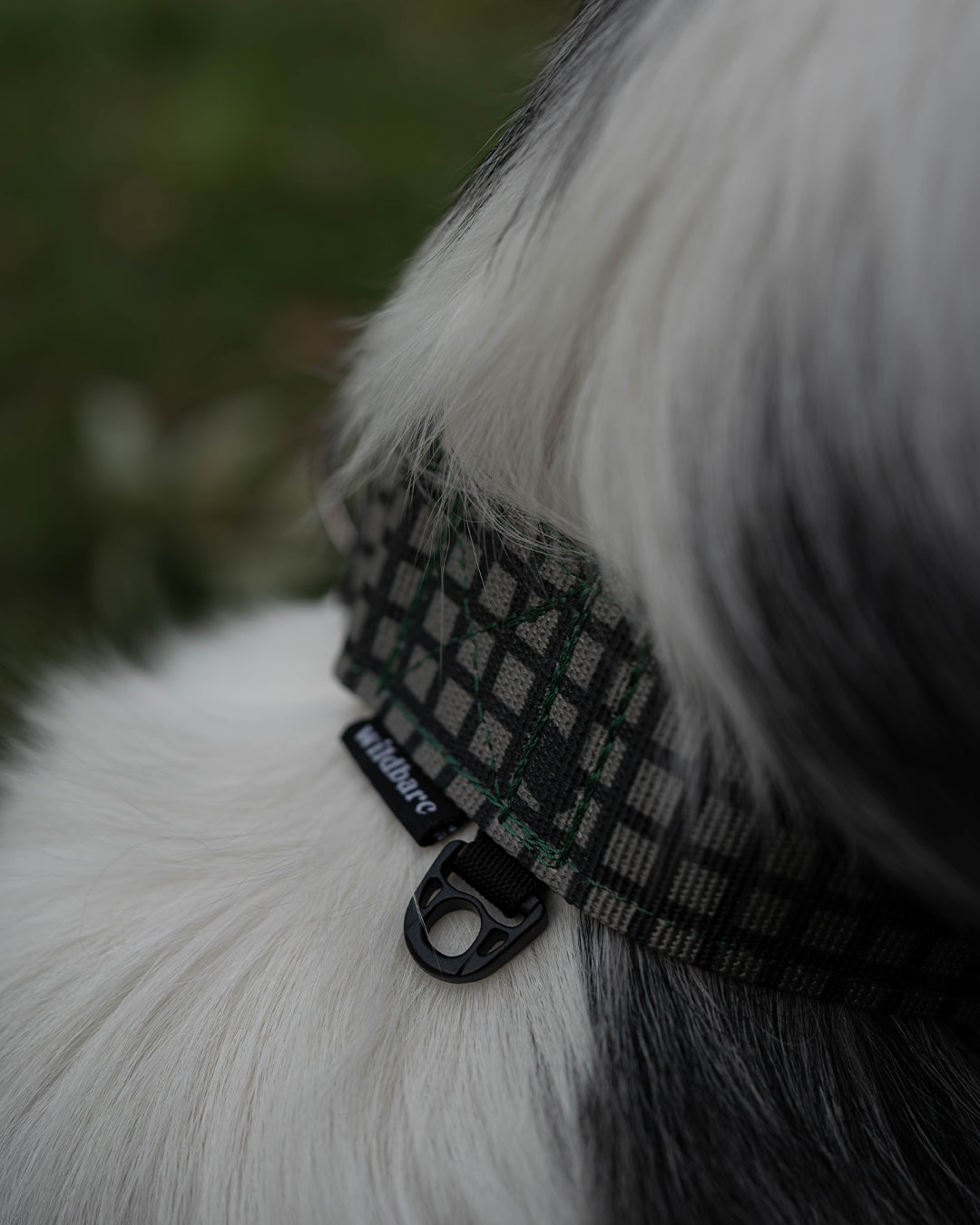 Outpost Waterproof Martingale Dog Collar