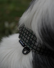 Outpost Waterproof Martingale Dog Collar