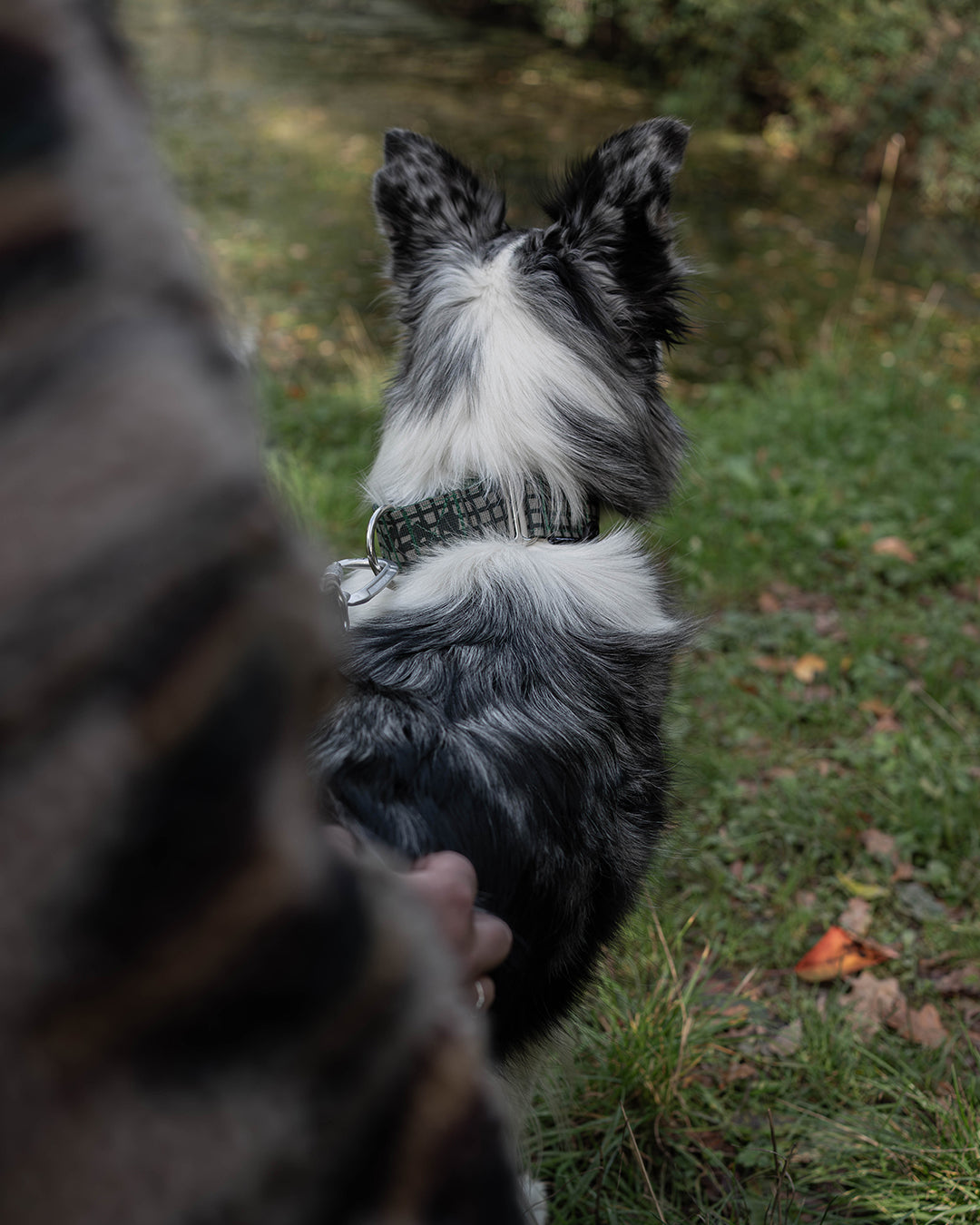 Outpost Waterproof Martingale Dog Collar