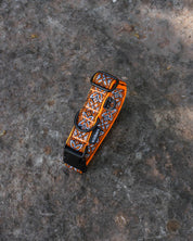 Parys Dog Buckle Collar