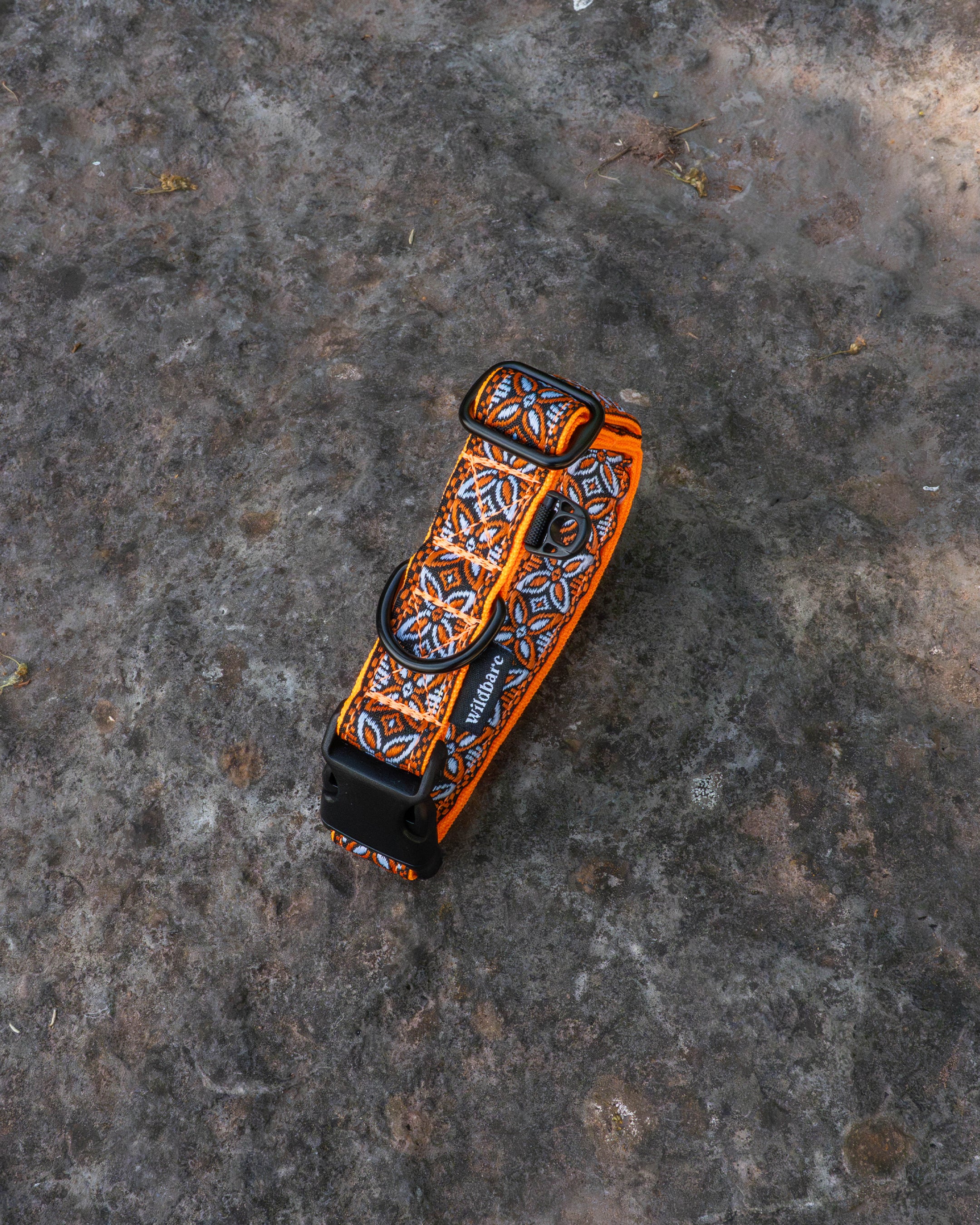 Parys Dog Buckle Collar