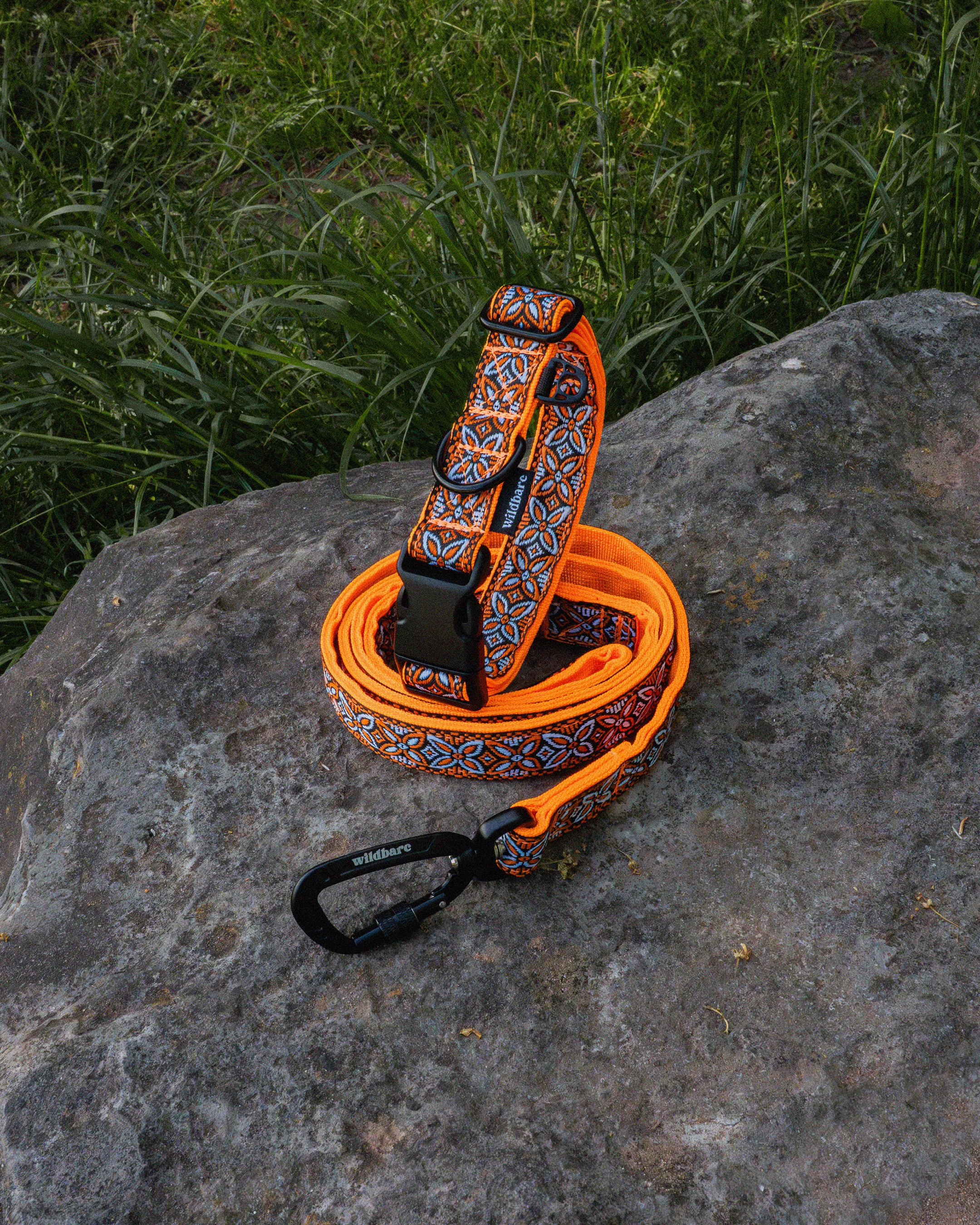 Parys Dog Lead