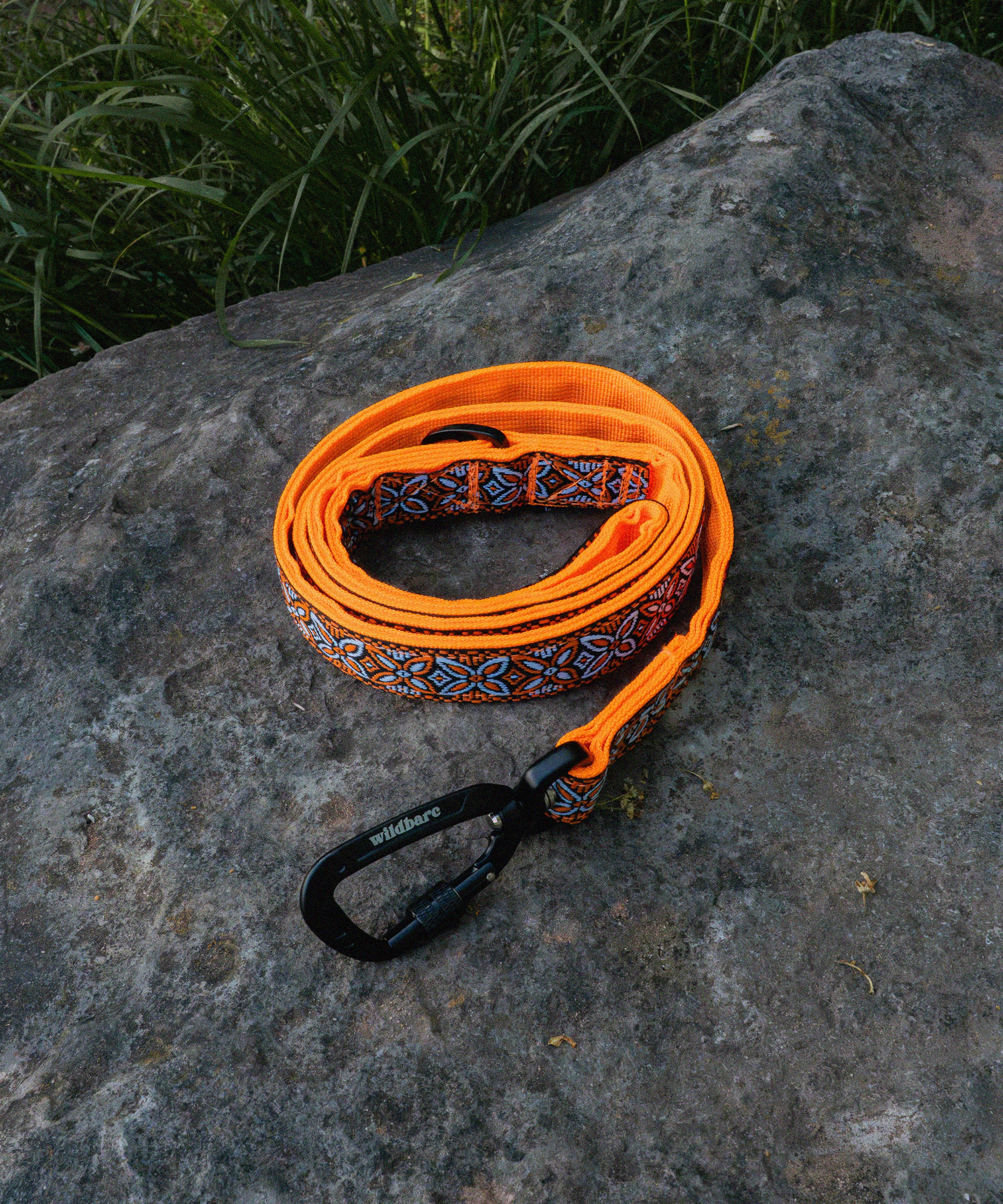 parys-dog-lead.jpg