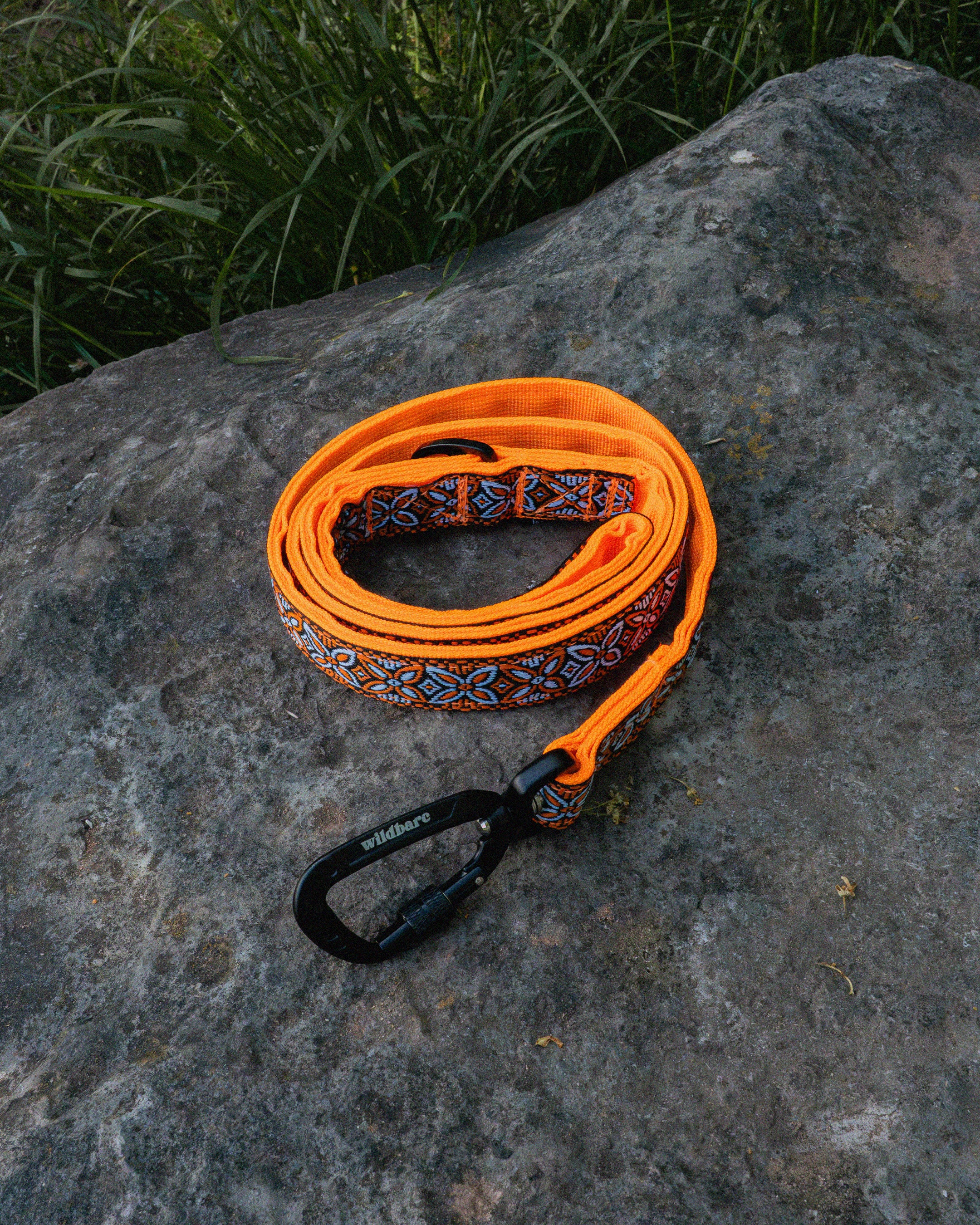 Parys Dog Lead